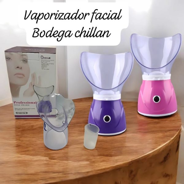 VAPORIZADOR FACIAL