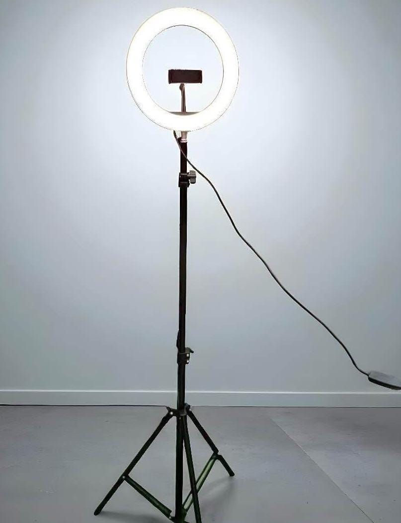 ARO DE LUZ - Imagen 12