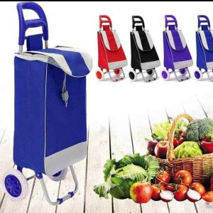 CARRITO PLEGABLE DE MERCADO